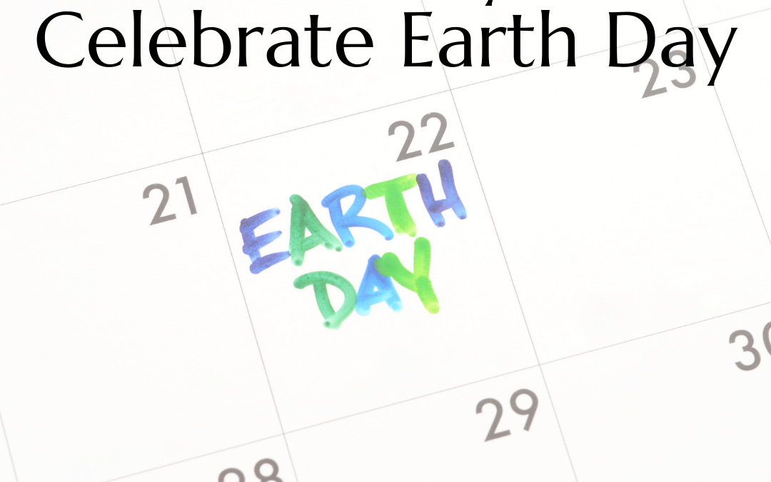 15 Fun Ways to Celebrate Earth Day