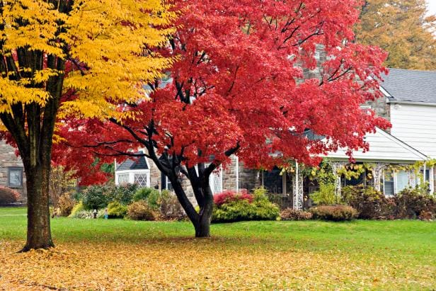 Tips for Selling Your Home in the Fall and Winter 