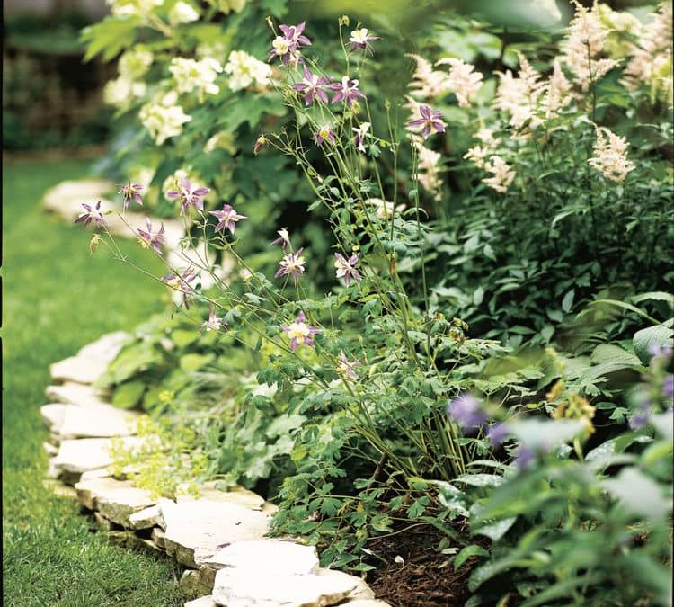 8 Inexpensive Garden Edging Ideas That Will Make Your Yard Look Sharp