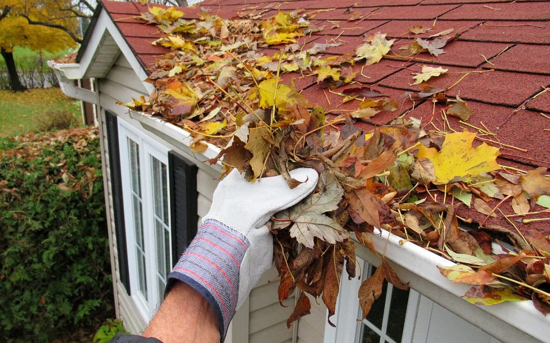 Top 5 Fall Home Maintenance and Safety Tips